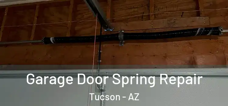  Garage Door Spring Repair Tucson - AZ